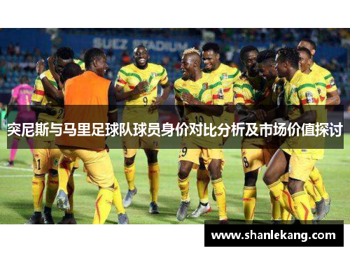 突尼斯与马里足球队球员身价对比分析及市场价值探讨